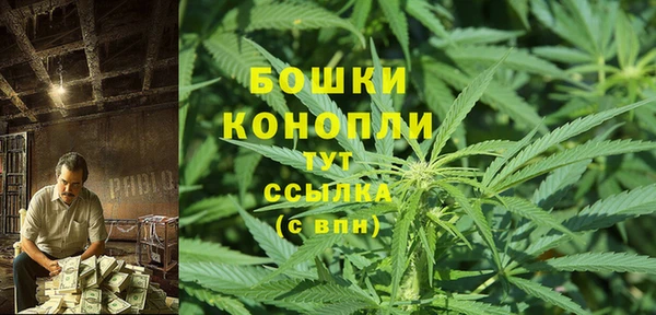 ГАЛЛЮЦИНОГЕННЫЕ ГРИБЫ Балахна