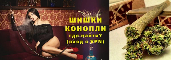 ГАЛЛЮЦИНОГЕННЫЕ ГРИБЫ Балахна