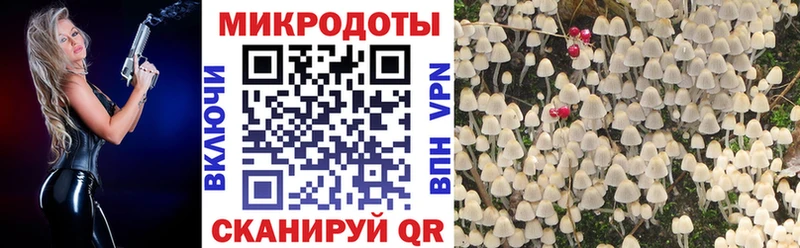 Галлюциногенные грибы прущие грибы  Белинский 